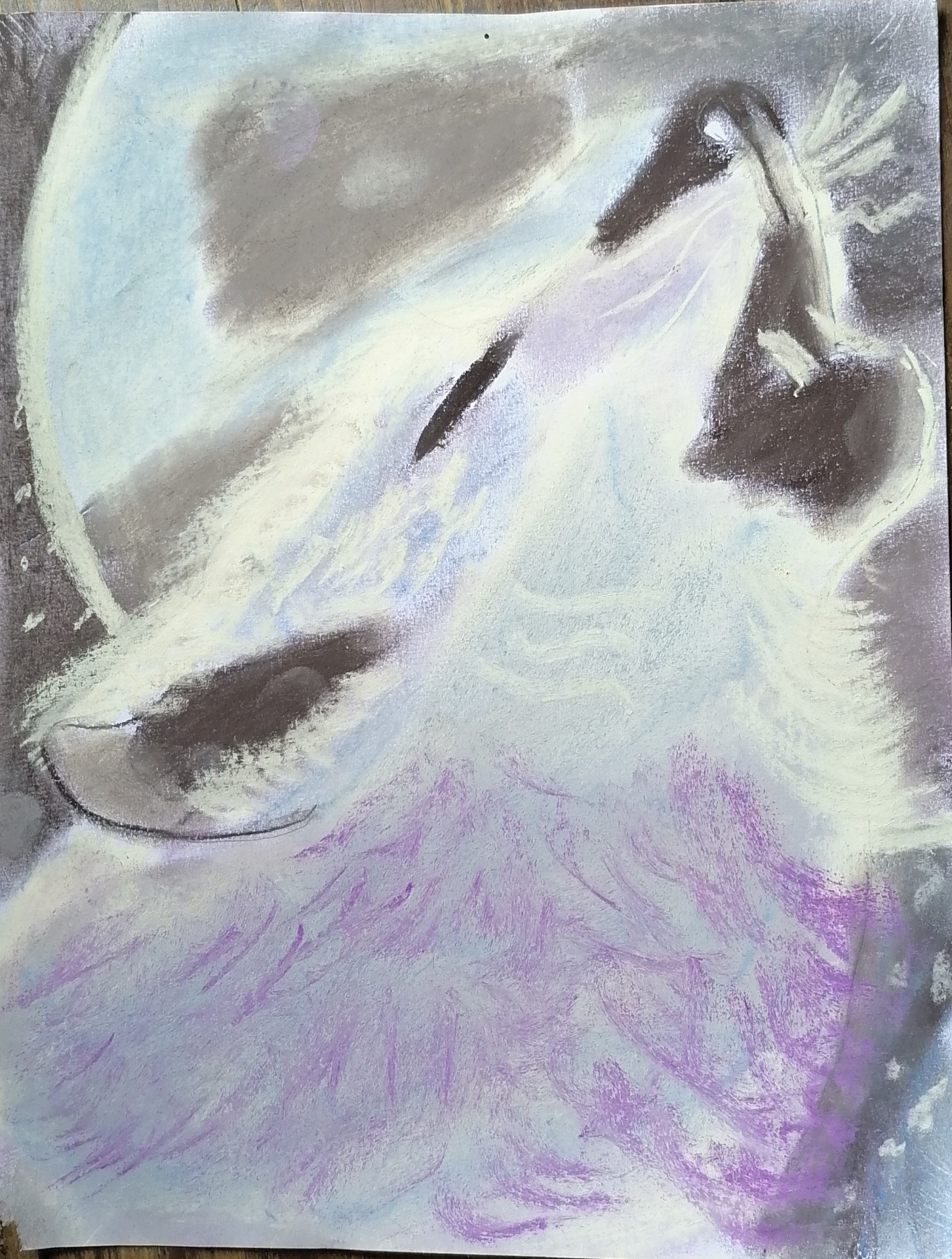 DOUGLAS. Gises pastel. Juan Pablo Bautista Silva. Reflexión: Esta obra fue inspirada en mi perro que es un Husky blanco y él se parece a un lobo blanco, la imagen que es aullando, es el ya que cuando aúlla hace esa posición, y aparte dice la palabra LUNA y es muy bonito escucharlo.