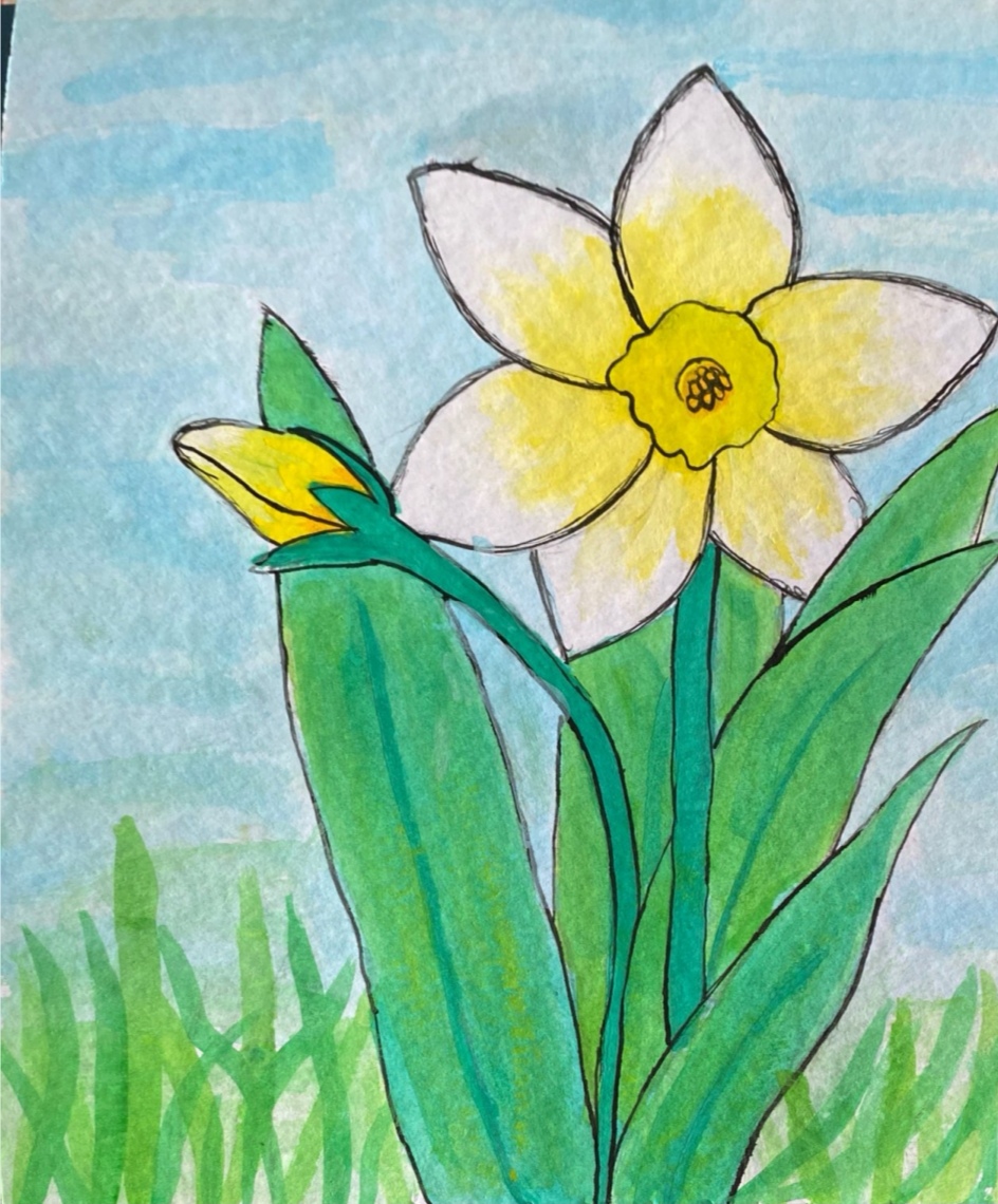 Técnica Pastel. Karla Lizeth Molinar Ulloa. Dibuje un narciso porque es una de mia flores favoritas y tiene una hermoso significado aun que hay de muchos colores el narciso amarillo es el que mas me  gusta.  Es la trompeta que anuncia la llegada de la primavera. Es la flor que supera rápidamente el invierno, es fuerte y simboliza la superación de los obstáculos, la  llegada del éxito y las riquezas.